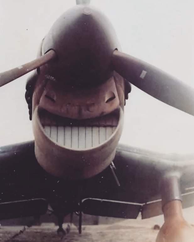 This Is Pareidolia (19 pics)