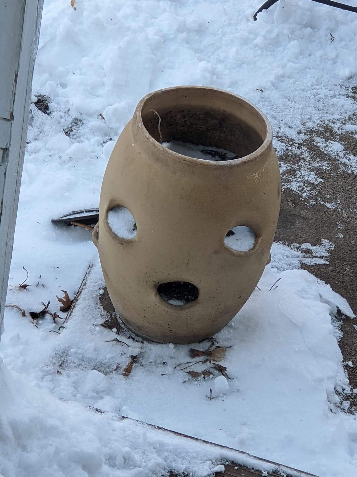 This Is Pareidolia (19 pics)