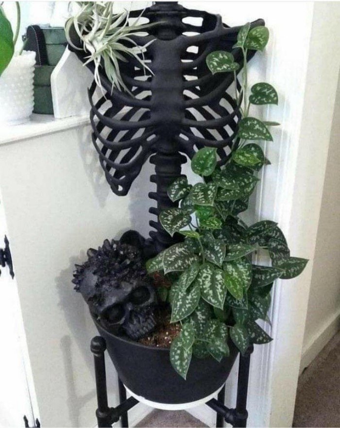 Weird Designs (15 pics) Weird Designs (15 pics)