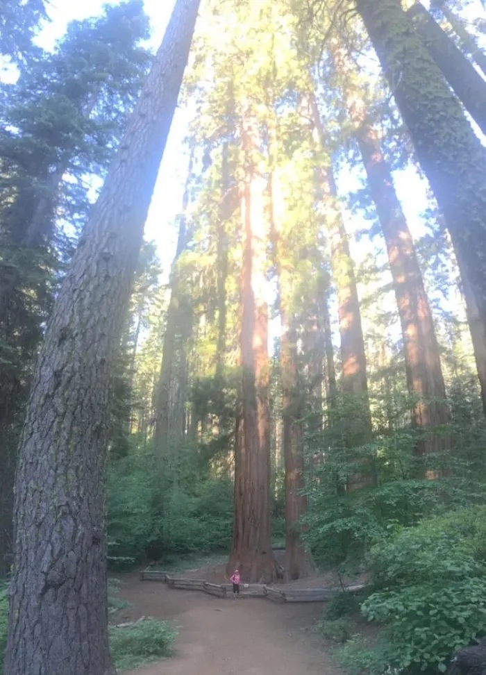 Giant Things (15 pics)