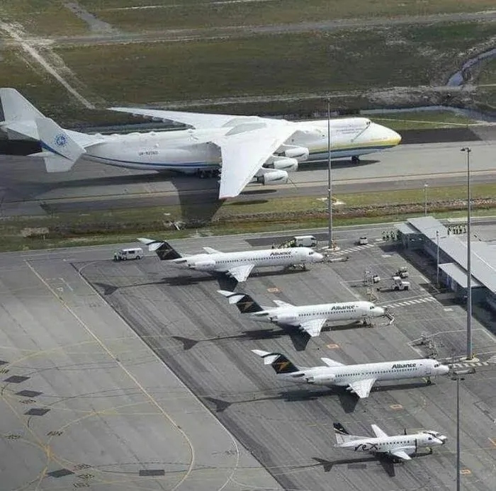 Giant Things (15 pics)