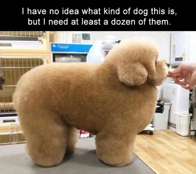 Daily Pictures. Part 2 (73 pics)