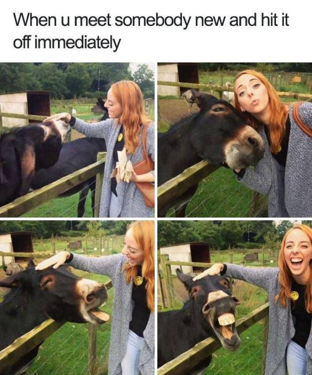 Daily Pictures. Part 2 (73 pics)