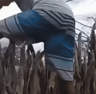 Acid GIFs, April 20 (25 gifs) Acid GIFs, April 20 (25 gifs)