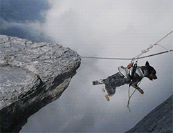 Acid GIFs, April 20 (25 gifs) Acid GIFs, April 20 (25 gifs)