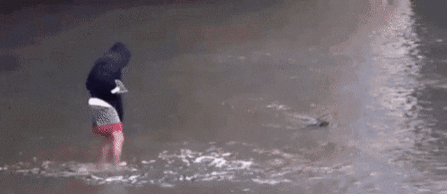 Acid GIFs, April 20 (25 gifs) Acid GIFs, April 20 (25 gifs)