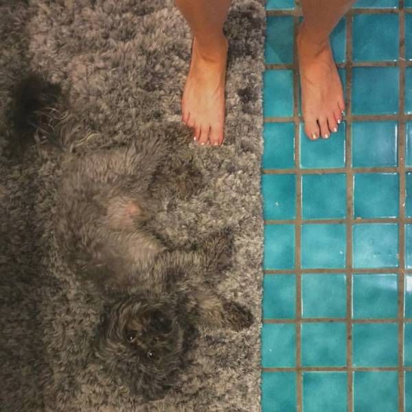 Daily Pictures. Part 1 (64 pics)