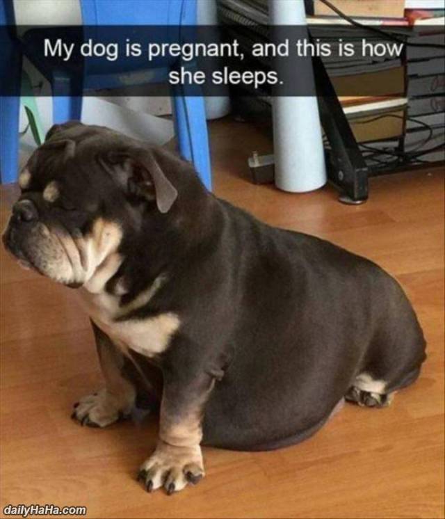 Daily Pictures. Part 2 (63 pics)