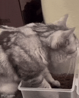 Acid GIFs, April 21 (25 gifs) Acid GIFs, April 21 (25 gifs)