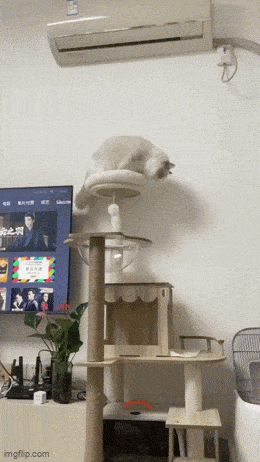 Acid GIFs, April 21 (25 gifs) Acid GIFs, April 21 (25 gifs)