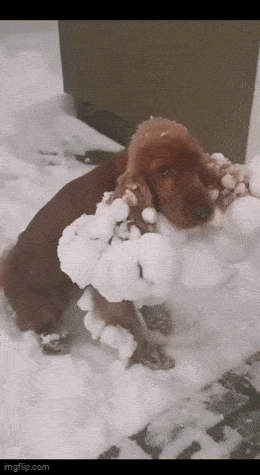 Acid GIFs, April 21 (25 gifs) Acid GIFs, April 21 (25 gifs)