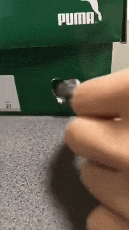 Acid GIFs, April 21 (25 gifs) Acid GIFs, April 21 (25 gifs)