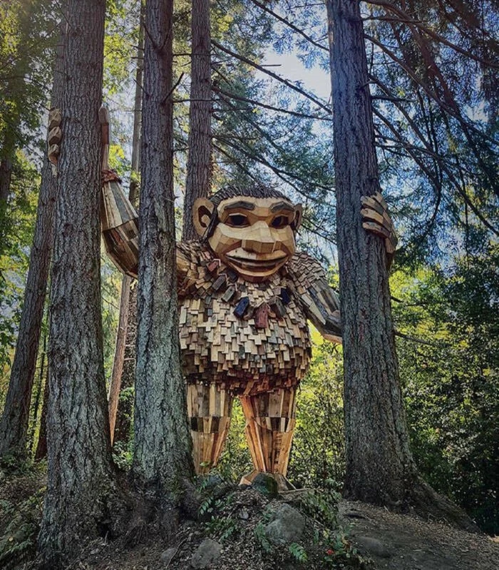 Unusual Finds In The Forests (24 pics)