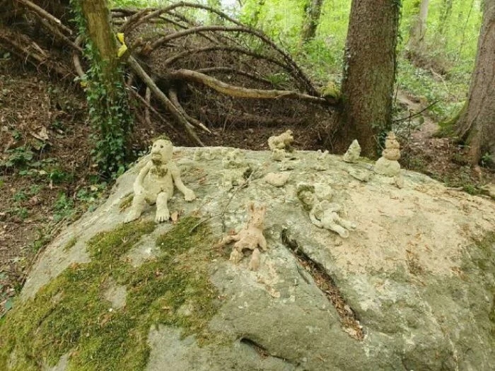 Unusual Finds In The Forests (24 pics)