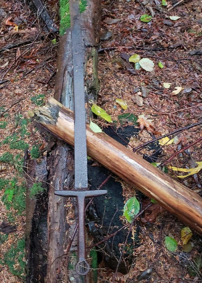 Unusual Finds In The Forests (24 pics)