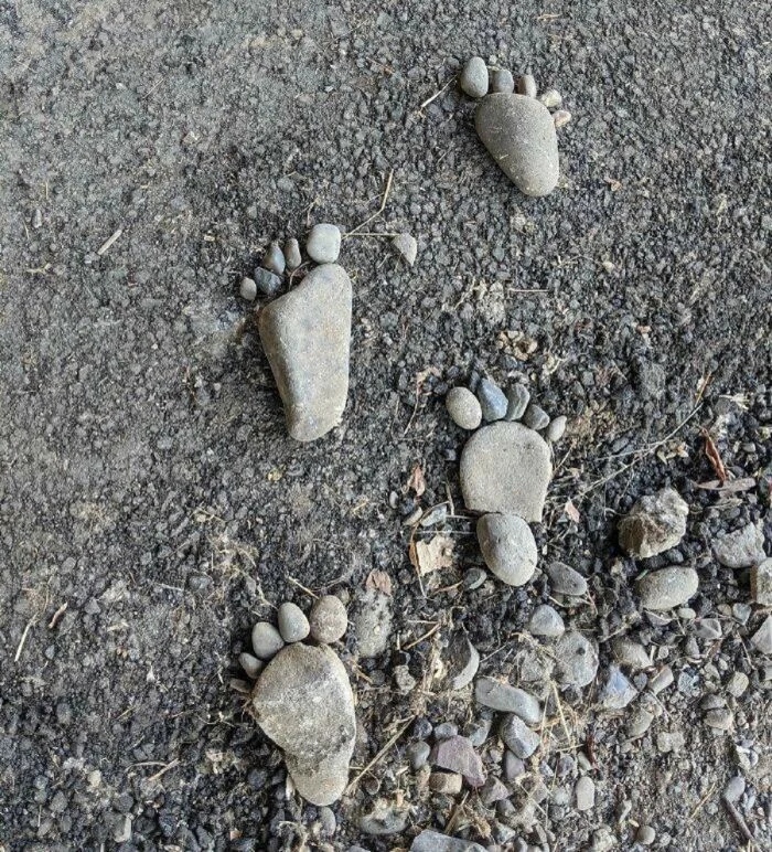 Unusual Finds In The Forests (24 pics)
