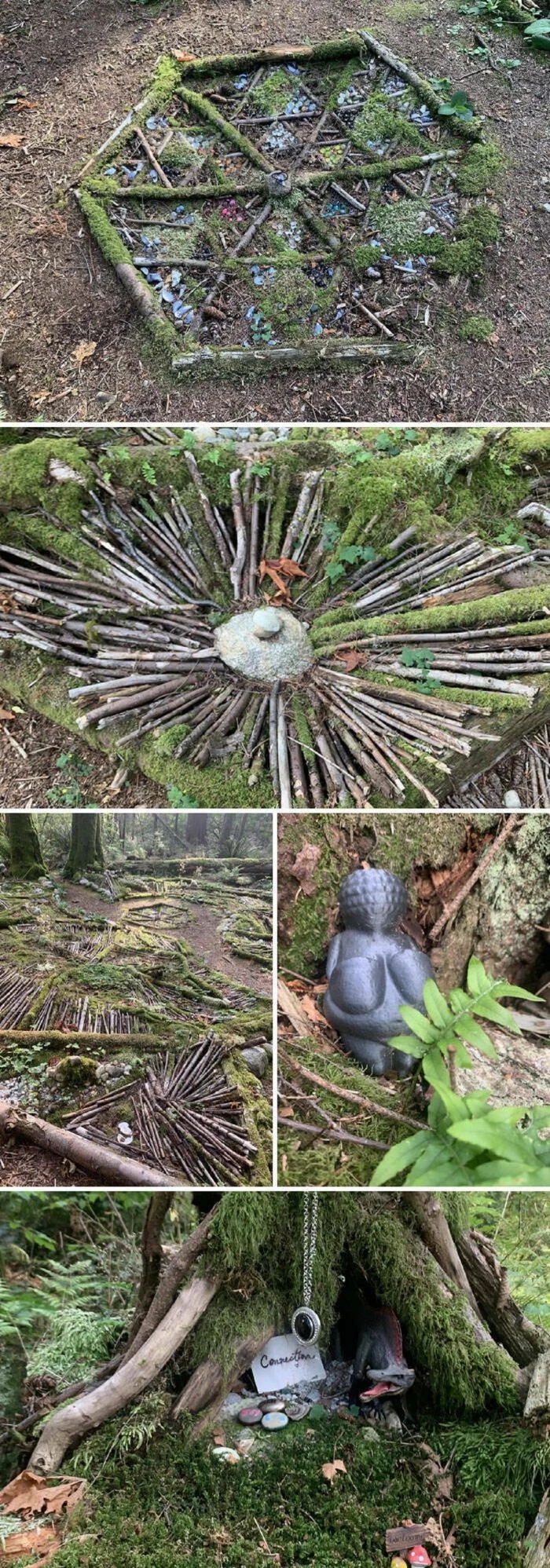 Unusual Finds In The Forests (24 pics)
