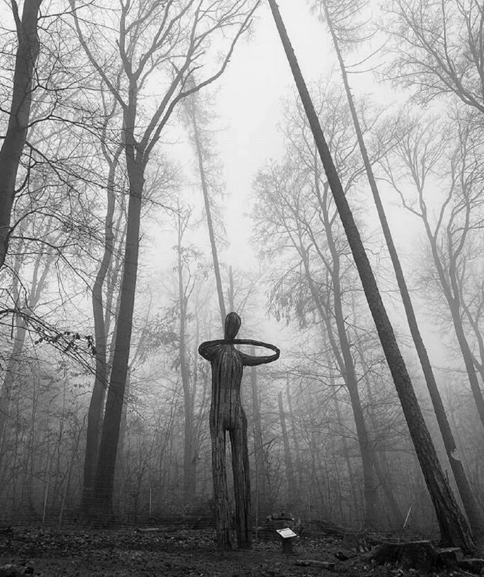 Unusual Finds In The Forests (24 pics)