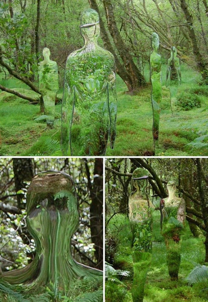 Unusual Finds In The Forests (24 pics)