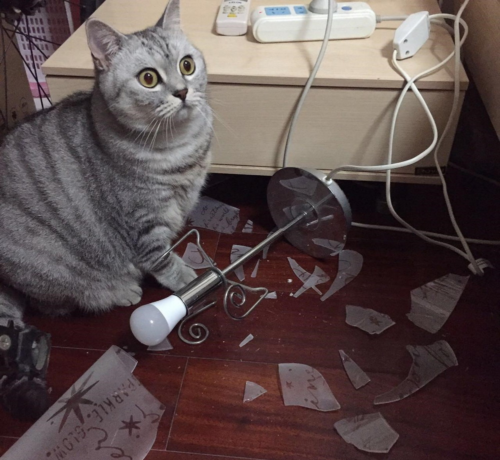 Unfortunate Situations (25 pics)