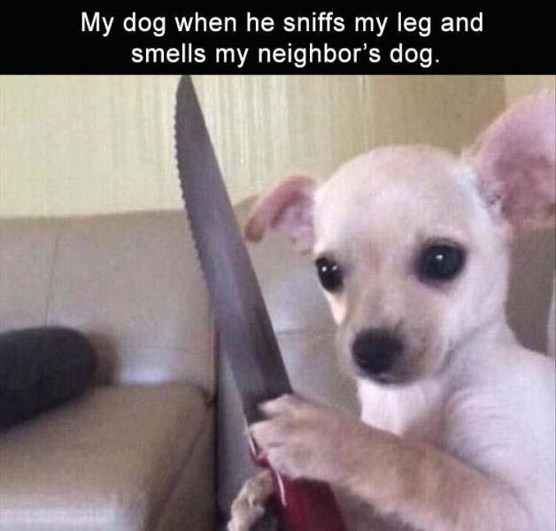 Daily Pictures. Part 2 (73 pics)