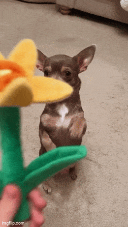 Acid GIFs, April 22 (25 gifs) Acid GIFs, April 22 (25 gifs)