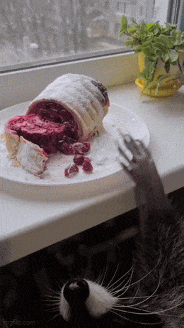 Acid GIFs, April 22 (25 gifs) Acid GIFs, April 22 (25 gifs)