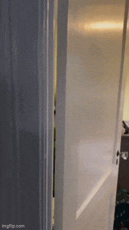 Acid GIFs, April 22 (25 gifs) Acid GIFs, April 22 (25 gifs)