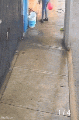 Acid GIFs, April 22 (25 gifs) Acid GIFs, April 22 (25 gifs)