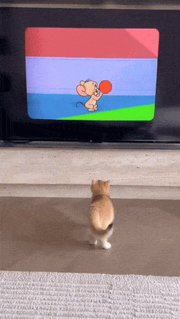 Acid GIFs, April 22 (25 gifs) Acid GIFs, April 22 (25 gifs)