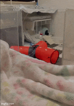 Acid GIFs, April 22 (25 gifs) Acid GIFs, April 22 (25 gifs)
