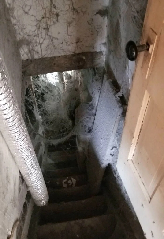 Creepy Finds In Basements (23 pics)