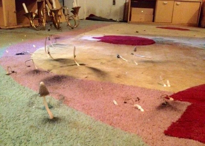 Creepy Finds In Basements (23 pics)
