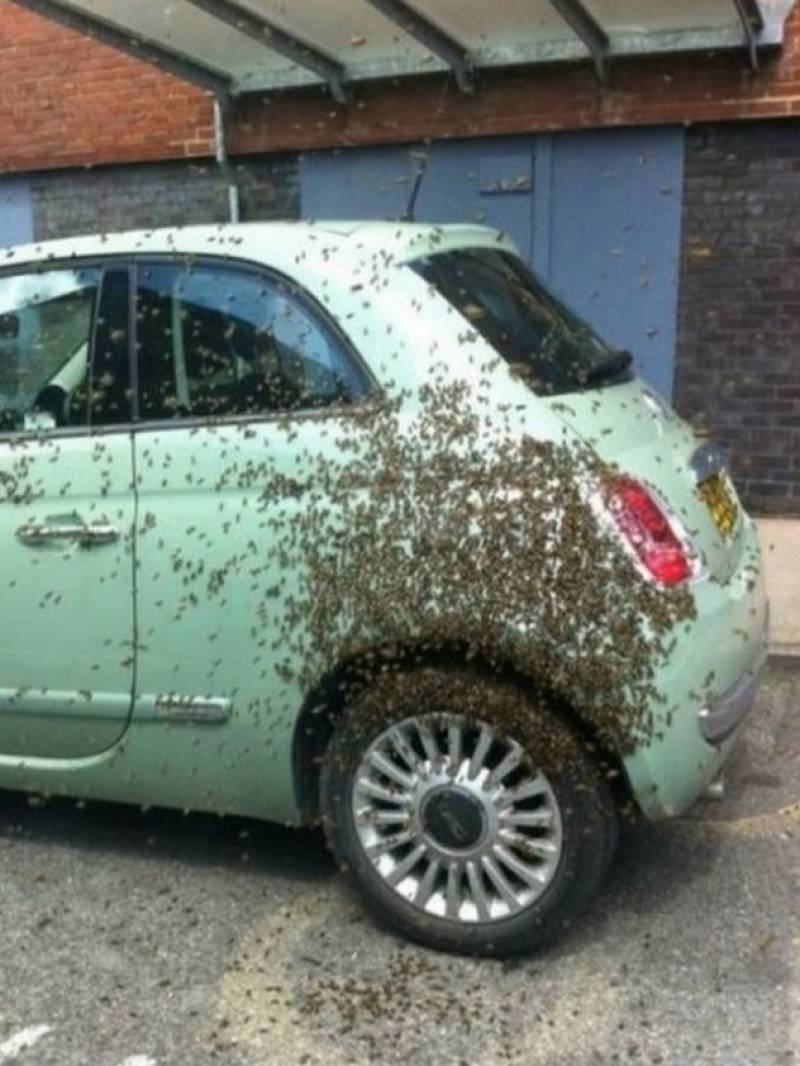 Unfortunate Situations (23 pics) Unfortunate Situations (23 pics)