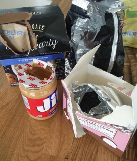 Annoying Situations (20 pics)