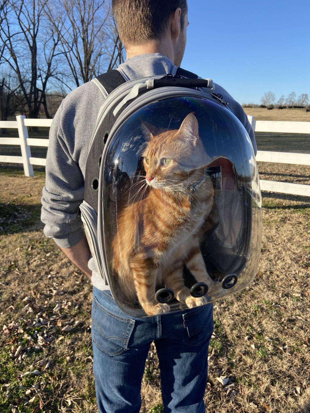 Daily Pictures. Part 1 (73 pics) Daily Pictures. Part 1 (73 pics)