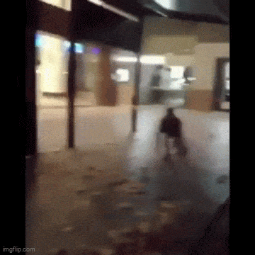 Acid GIFs, April 23 (25 gifs)