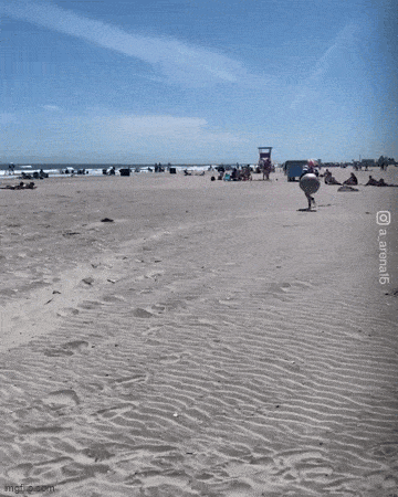 Acid GIFs, April 23 (25 gifs)