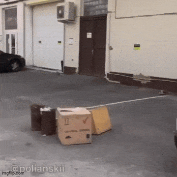 Acid GIFs, April 23 (25 gifs)