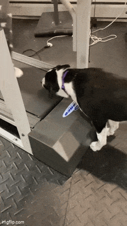 Acid GIFs, April 23 (25 gifs)