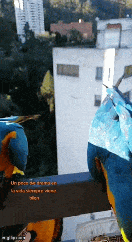 Acid GIFs, April 23 (25 gifs)