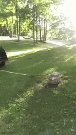 Acid GIFs, April 23 (25 gifs)