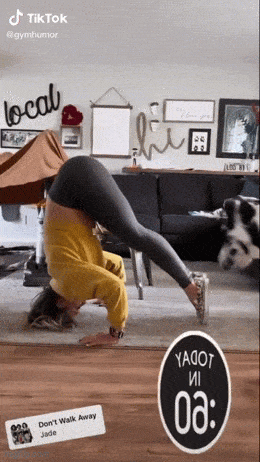 Acid GIFs, April 23 (25 gifs)