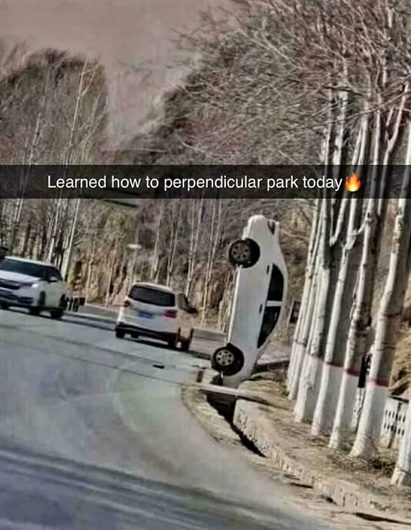 What Is Going On Here? (21 pics)