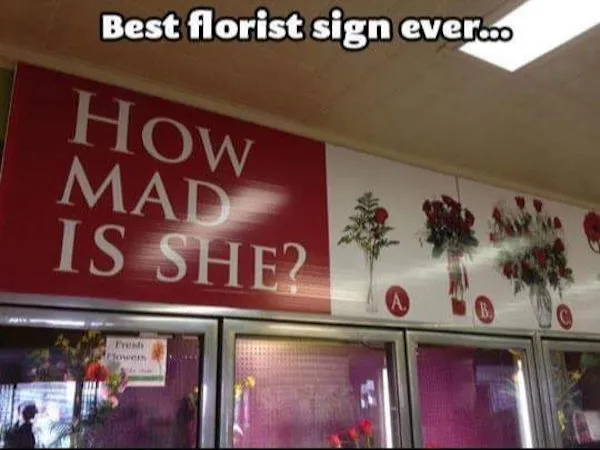 Funny Memes (21 pics)