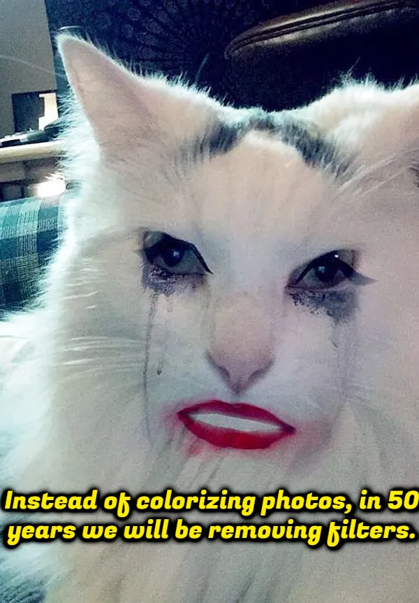 Weird Thoughts (17 pics)
