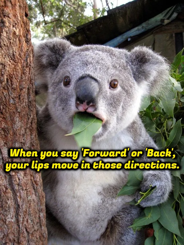 Weird Thoughts (17 pics)