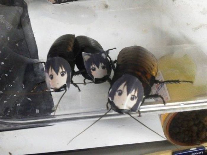 Strange Photos From Asia (25 pics) Strange Photos From Asia (25 pics)