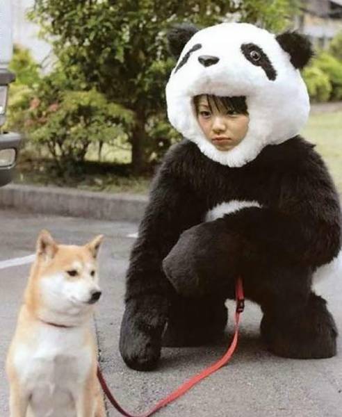 Strange Photos From Asia (25 pics) Strange Photos From Asia (25 pics)