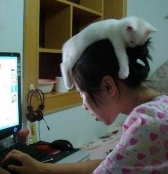 Strange Photos From Asia (25 pics) Strange Photos From Asia (25 pics)